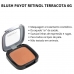 Payot Retinol Terracota Blush 6g