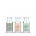 Prohall - Kit Cronograma Ampolas de Tratamento Premium Box 3x 15ml