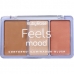 Paleta Contorno Iluminador Blush T40 I50 B110 HB75263 R Rose