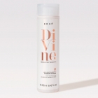 Kit Shampoo Condicionador 250ML e Leave-in Braé Divine 200G