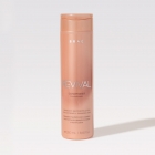 Kit BRAÉ Revival Trio (3 Produtos) HOME CARE
