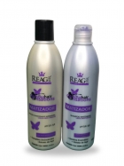 Shampoo matizador Reag Liss 300ml