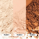 Pó Solto Facial Franciny Ehlke Plush FR 1