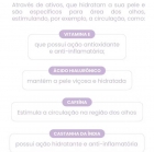 Corretivo Líquido Salmão Bauny 5ml